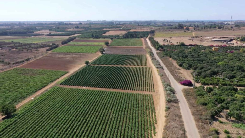 Land for Sale Center Israel Buy a Piece of Israel