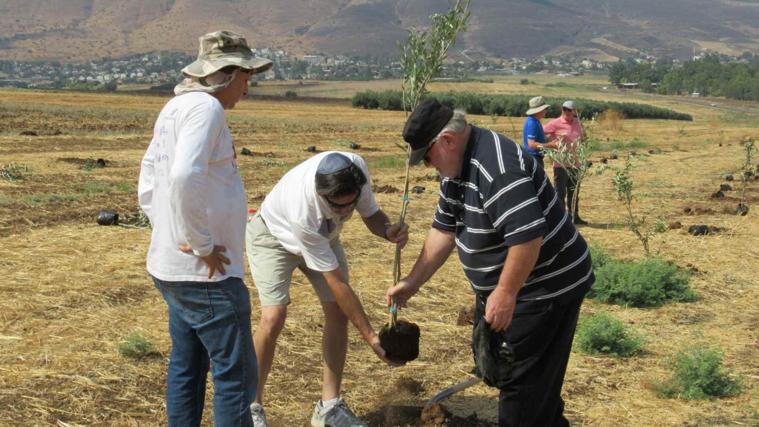 Buy Land in Israel Buy a Piece of Israel