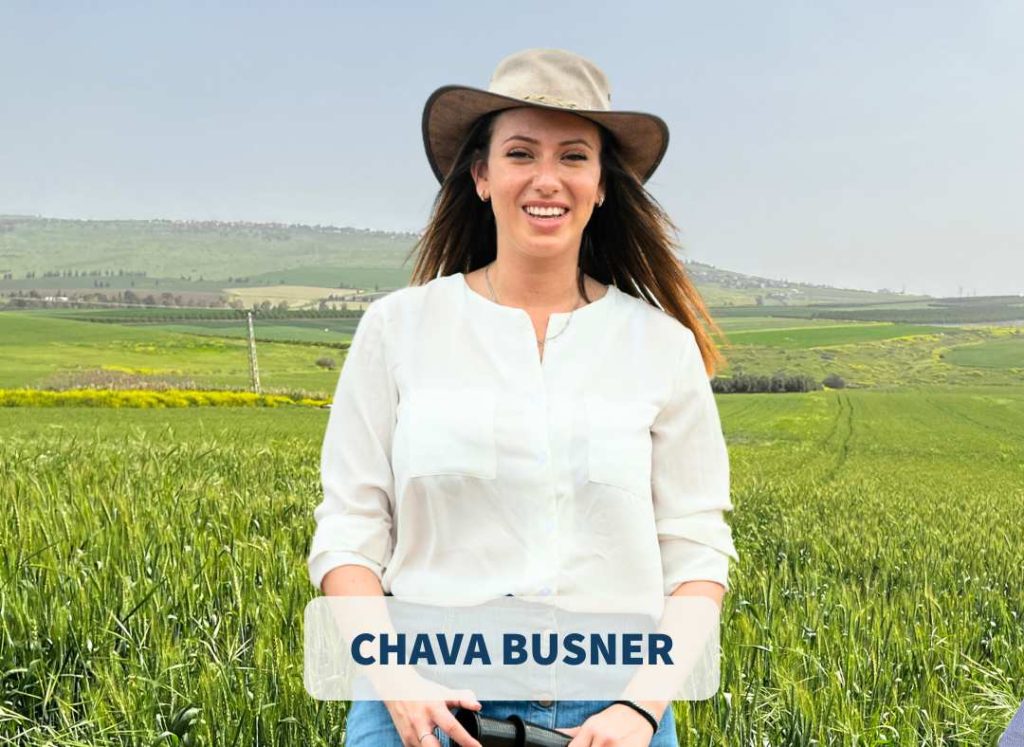Real Estate Agent of agriculture land