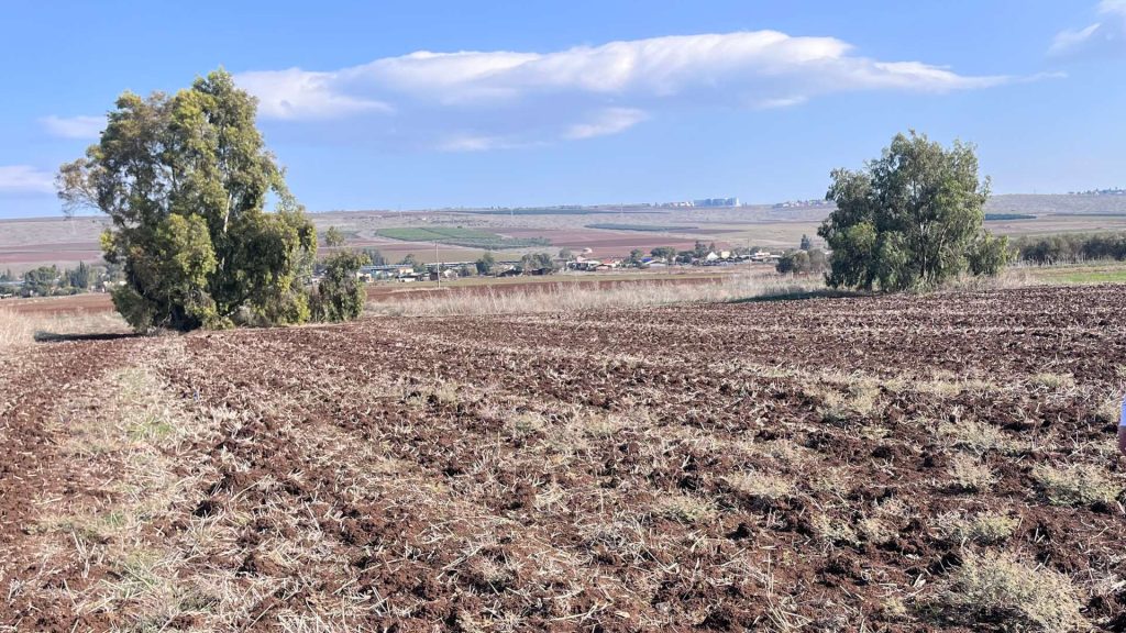Land for Sale in Israel
