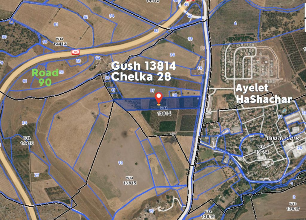 Agriculture Land for sale with big olive trees